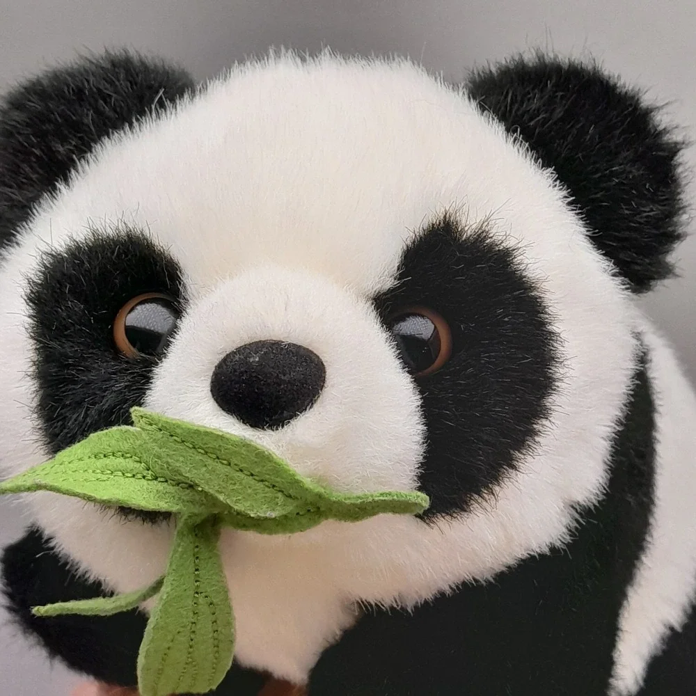 Smithsonian National Zoo Panda Bear 10